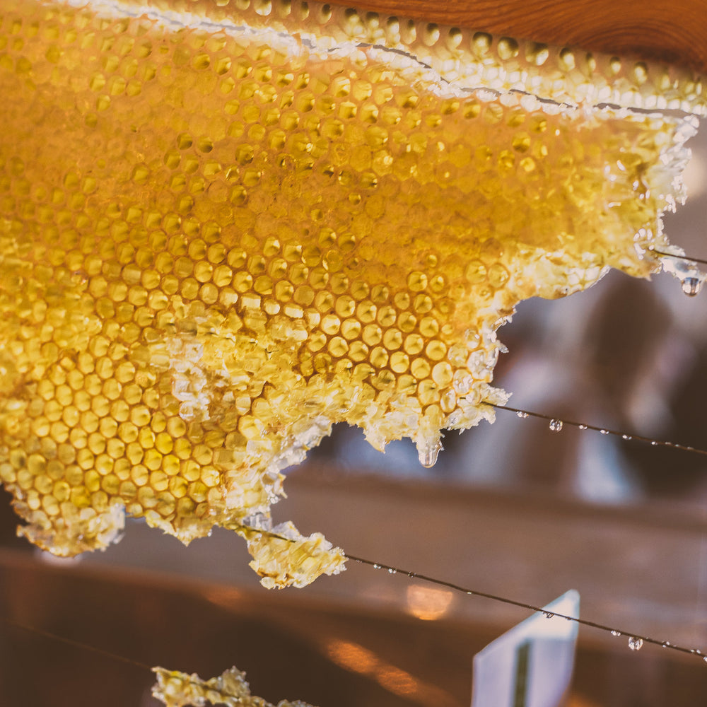 A photograph of honeycombs, filled with honey, on a wire set up 